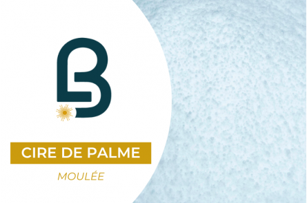 Cire de palme pour bougies...