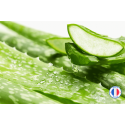 Fragrance de Grasse / Aloé Véra pour la création de bougies et fondants parfumés