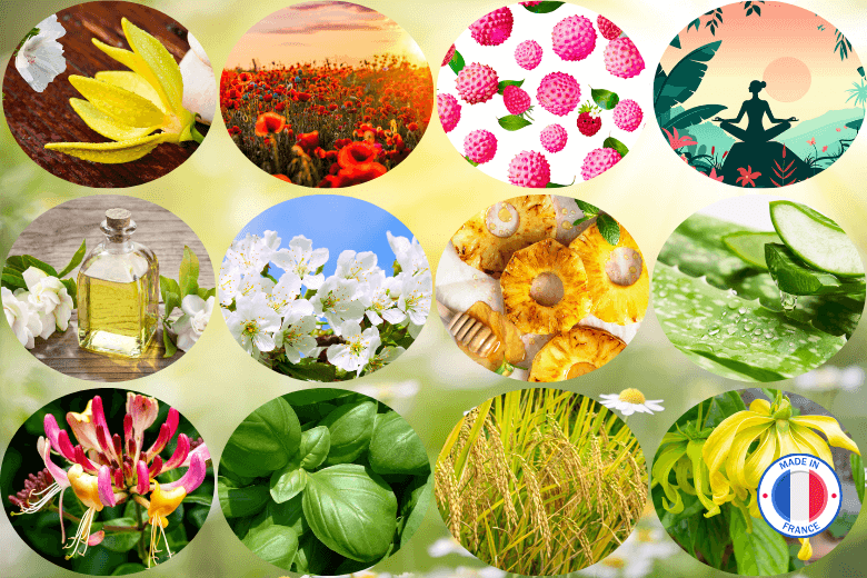 Pack de 12 parfums nouveautés pour la création de bougies et fondants parfumés