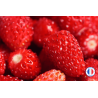 Parfum de Grasse Fraise des bois pour la création de bougies