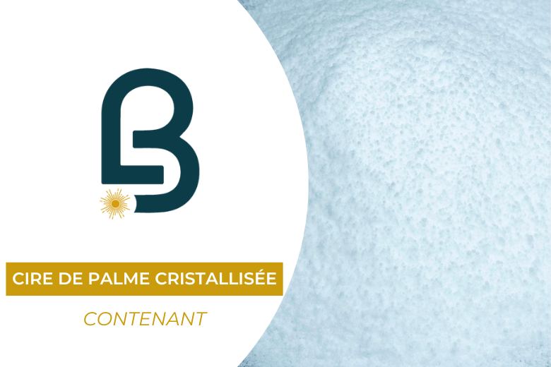 Cire de Palme Cristallisée pour Bougies Moulées | L'instant Bougies