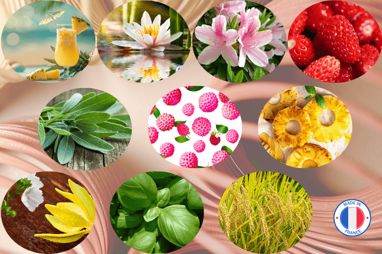 Pack de 10 parfums nouveautés pour la création de bougies et fondants parfumés