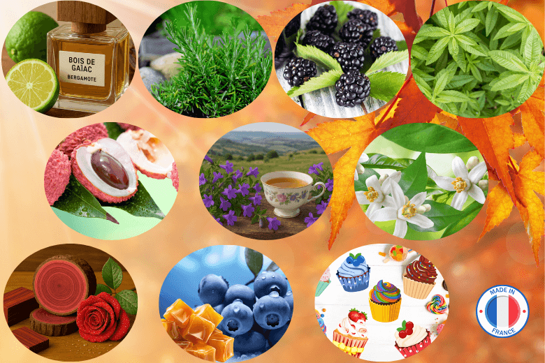 Pack de 10 parfums nouveautés pour la création de bougies et fondants parfumés