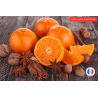 Parfum de Grasse odeur "Cannelle Orange" pour Bougies | L'instant Bougies