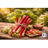Fragrance Rhubarbe de Grasse pour Bougies et Fondants Parfumés