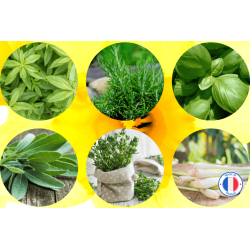 Pack 6 Parfums Jardin Botanique