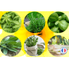 Pack Jardin Botanique – 6 parfums pour bougies parfumées