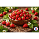 Parfum de Grasse Fraise des bois pour la création de bougies