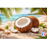 Parfum odeur "Noix de coco" pour Bougies et Fondants | L'instant Bougies