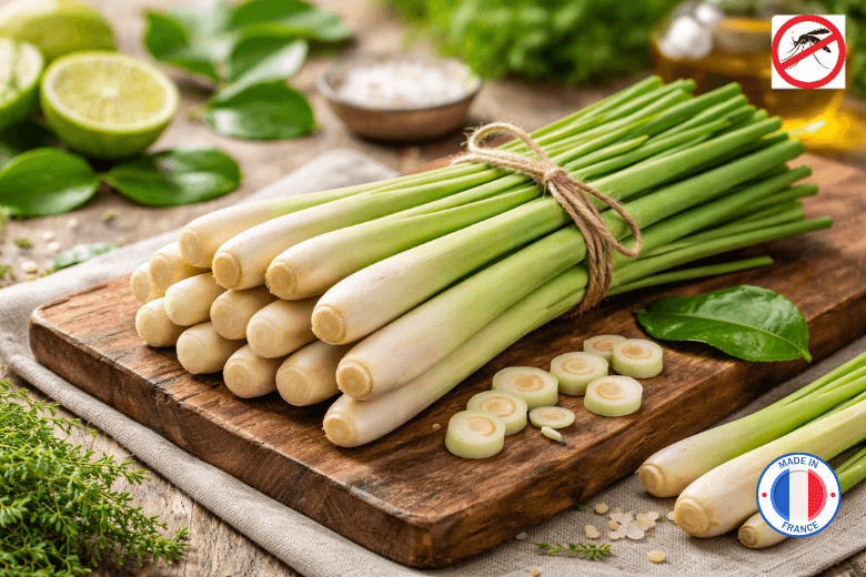 Parfum de Grasse odeur "Citronnelle" pour Bougies | L'instant Bougies