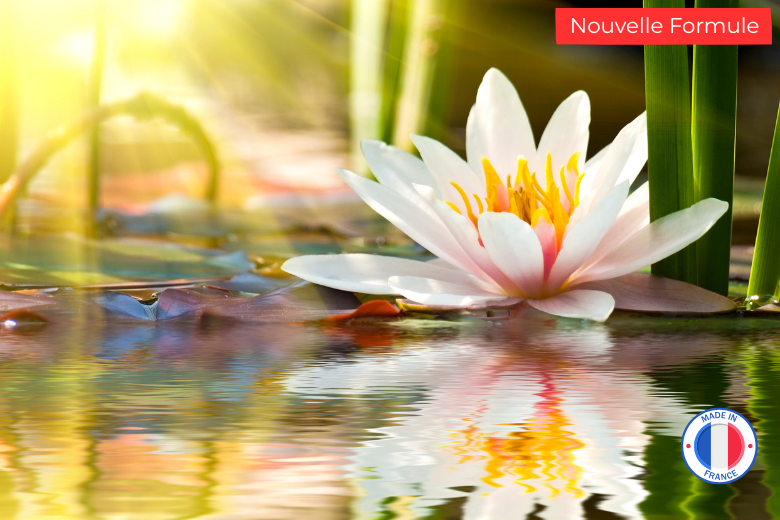 Parfum de Grasse sans CMR Fleur de Lotus pour la création de bougies