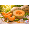 Fragrance Melon pour bougies – un parfum fruité et frais pour l'été