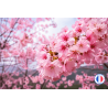 Fragrance Fleur de Sakura – Parfum floral pour bougies
