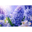 Fragrance Éclat de Jacinthe – Parfum floral pour bougies raffinées
