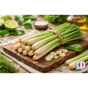 Parfum de Grasse odeur "Citronnelle" pour Bougies | L'instant Bougies