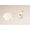 Boîtes écrues 8cmx8cmxH8cm pour bougie - Emballage à monter