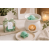 Moule silicone pour bougies et fondants parfumés "tortue"