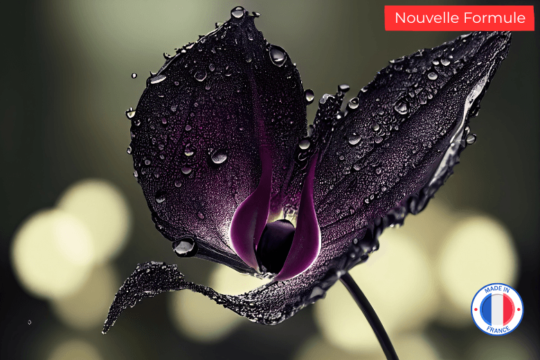 Parfum Orchidée Noire sans CMR pour la fabrication de bougies parfumées
