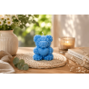 Moule en silicone un amour de nounours / petit modèle pour Bougies