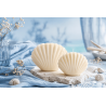 Moule en forme de coquillage pour la fabrication de bougies moulées