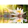 Parfum de Grasse sans CMR Fleur de Lotus pour la création de bougies