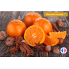 Parfum de Grasse odeur "Cannelle Orange" pour Bougies | L'instant Bougies
