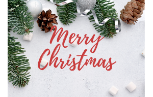 
			                        			Joyeux Noël
